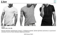 Lion T�T�T�¦-¦-¦¬¦¦¦¬.jpg