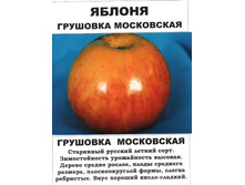 ������ �������� ���������� 300���..jpeg