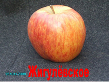 ������ ����������� (����) 300���..jpg