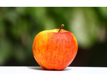 ������ �������������� (����) 300���..jpg