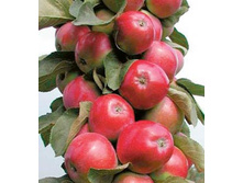 ������ ���������� �������� (�����) 400���..jpg