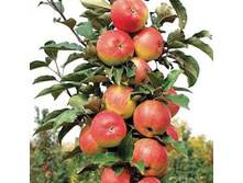 ������ ������� (�����) 400���..jpg