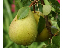 ����� ������ �������� 300���..jpg