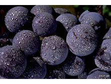 ����� �������� 300���..jpg