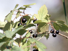 ��������� ������ �������������� 100���..jpg