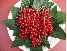 ��������� ������� ������ 100���..jpg