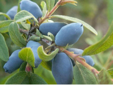 ��������� ����� 120���..jpg