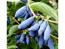 ��������� ������� �������� 120���..jpg