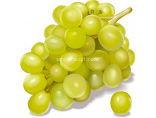 �������� �������� ����� 210���..jpg