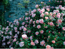 ���� ��������� ��������� 150���.jpg