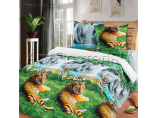 ��������� ������.jpg