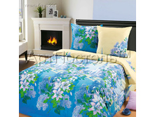 �������� ����.jpg