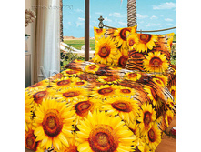 ������ ����.jpg