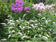 ����������� 688.jpg