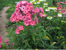 ����������� 691.jpg