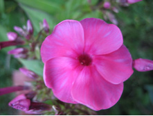 ����������� 724.jpg