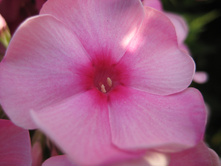 ����������� 776.jpg