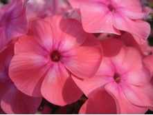 ����������� 777.jpg