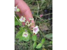 ����������� 836.jpg