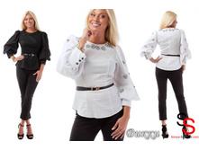 Chia BRAND �����  �����