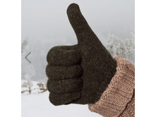 iGlover Premium ���� 650�.+%