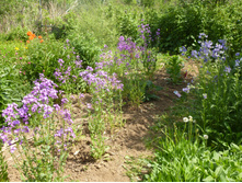 P1020698.JPG ������ 2-� �����