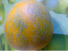 ������ ������)))