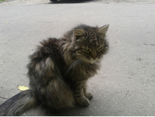 ������� ���.jpg