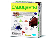 ��������� ����	737	���