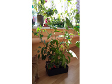 20140824_100944.jpg