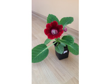 20140824_095355.jpg