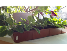 20140824_095505.jpg
