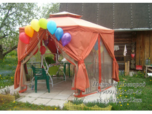 SANY0147.JPG