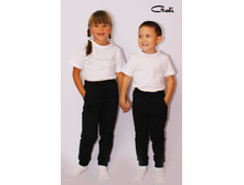 1017 ����� ������� (������)	100%������