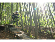 DSC01296 modified.jpg