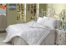 ��������� 1,5.jpg