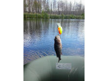 2014-08-23 11.34.23.jpg