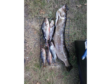 2014-08-24 13.51.04.jpg