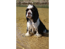 ������� (2).JPG