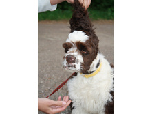 ��� �����.JPG