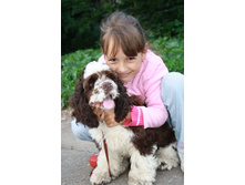 � ����� (2).JPG