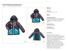 CH-15-28_������ ����������_�����_5399 ���_���� ���������� 2100 ���