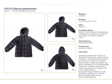 CH-15-33_������ ����������_������_5499 ���_2100 ���