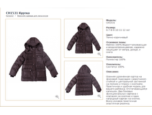 CH-15-31_������ ����������_�����-����������_5399 ���_���� ���������� 2100 ���