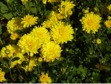 P1020822.JPG ����������