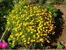 P1020824.JPG �������� ���������������