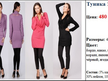 ������ 1016MS  480