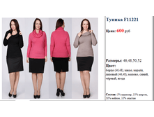 ������ F11221 600 ���.png