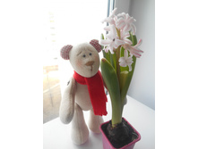 �� ������ ������ ������� Carmina