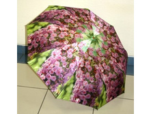 ���� 7512 №6